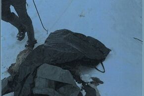 Die Nachbargemeinde Diemelstadt bittet um Ihre Hilfe: Illegale Tierkörperbeseitigung in der Diemel